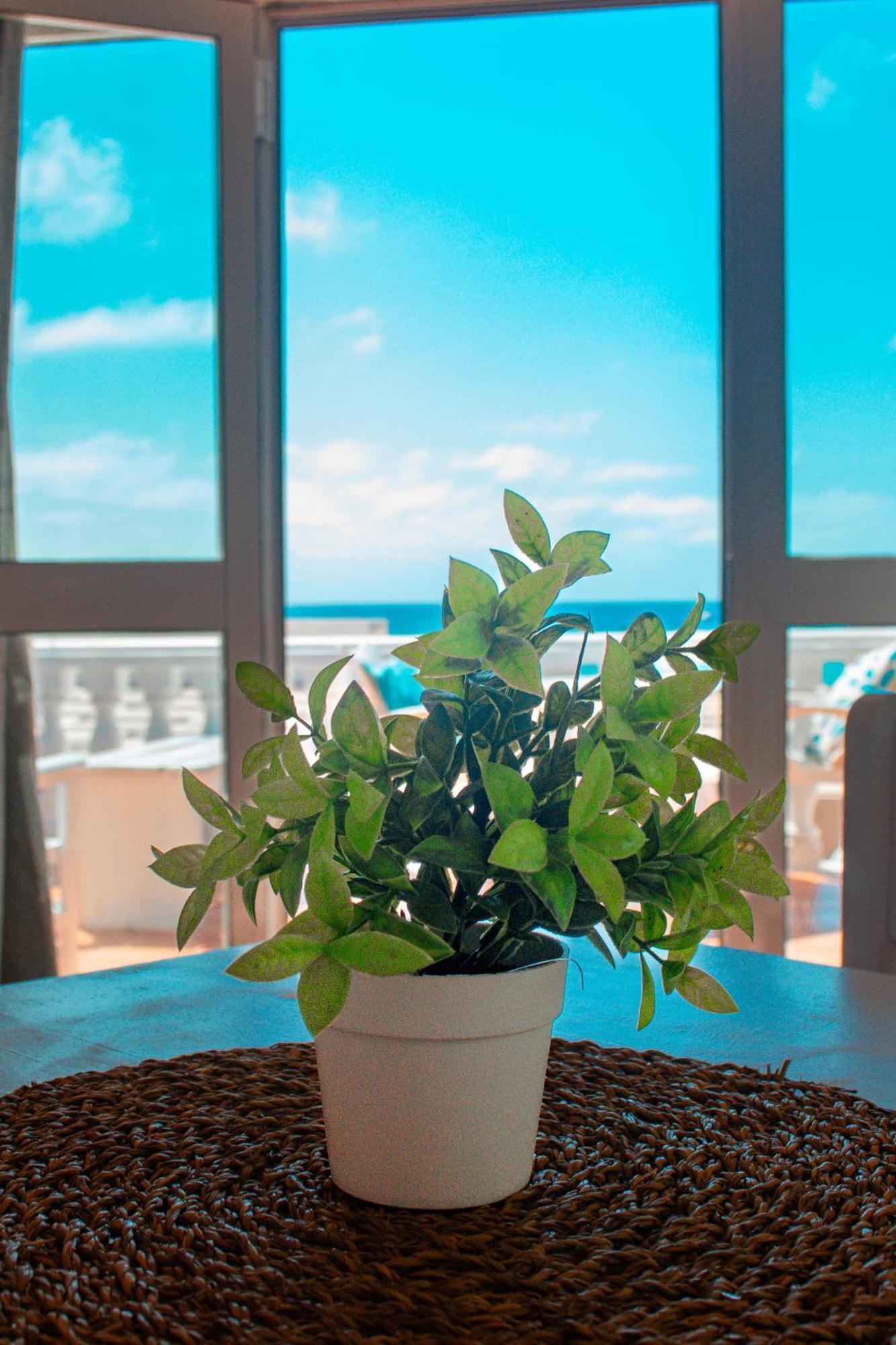 Vista Mar - Seafront Holiday Apartments Santa Maria Εξωτερικό φωτογραφία